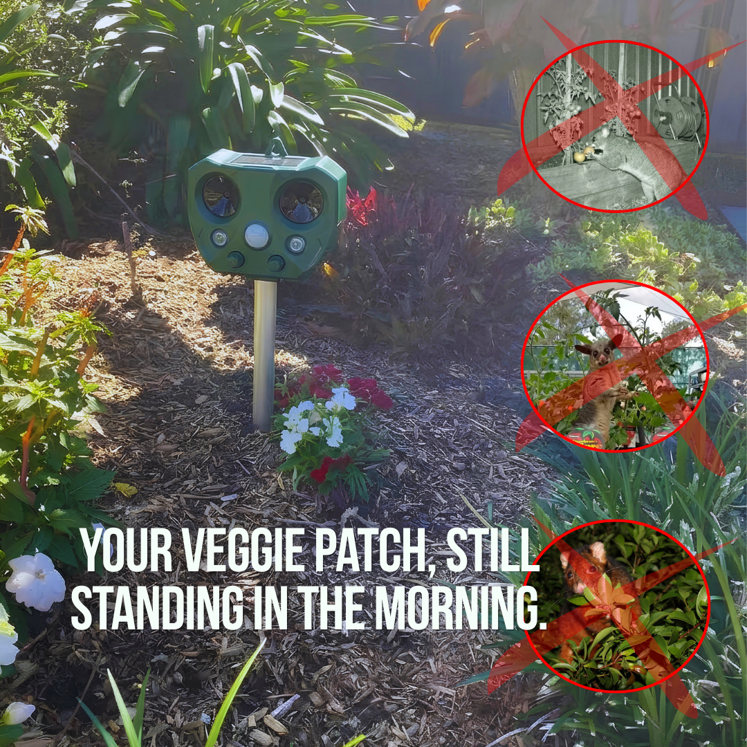 PossumPatrol™ Solar Animal Repeller