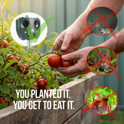 PossumPatrol™ Solar Animal Repeller