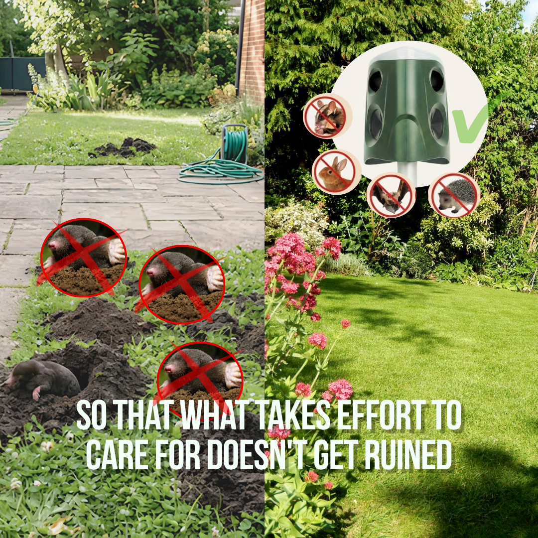 Patrol360™ Solar & Animal Repeller — 360° Coverage